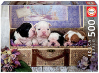 Chiots