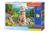 New Generation, 200pc