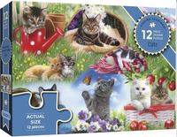 Cats