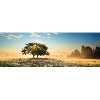 Play of Light, Alexander von Humboldt (1000pcs)