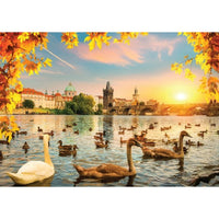 Swans près de Charles Bridge (1000pcs)