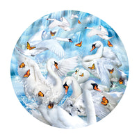 Cascade de cygne (en forme), Lori Schory