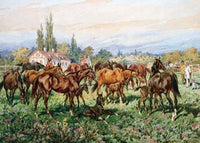 Stud on the Grass, 1891