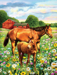 Mare and Foal, Greg Giordano