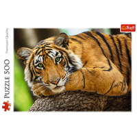 Portrait de tigre