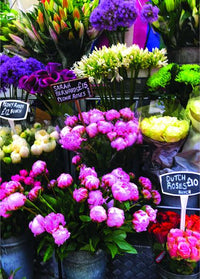 Pastimes ludiques - Power Flower (1000 PCS)