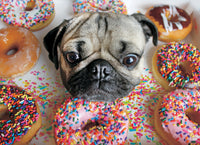 Doug le carlin (1000pcs)