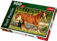 La beauté du galop
