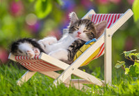 Ravensburger Sleppy Kittens (Chatons au repos)