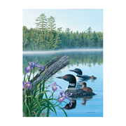 Seasons of the Lake - Summer