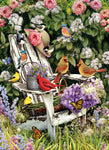 Summer Adirondack Birds