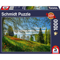 Floraison des tulipes, Frühlingsallee, île de Mainau (1000pcs)