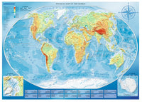 Large Map of the World (4000pcs)
