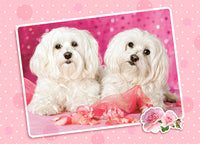 Two Doggies in Pink