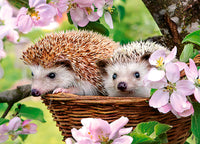 Springtime, Elena Eremina