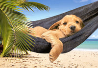 Temps libre