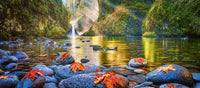 Steamy Mornings, Gavin Hardcastle