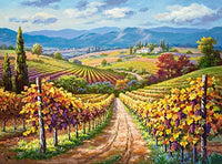 Colline vignoble