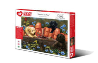 Hart Puppies at Play, Bob Giordano