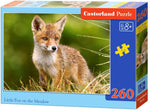 Petit renard sur la prairie