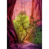 Power of Nature - Singing Canyon (1000pcs)