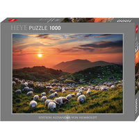 Moutons et volcans, AVH (1000pcs)
