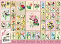 Redoute (1000pcs)