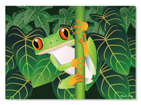 Grenouille d'arbre aux yeux rouges