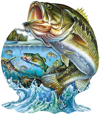 Sauter à la liberté (en forme), Jon Q Wright