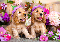 Chiots épagneuls avec chapeaux de fleurs (1000pcs)