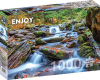 Forest Stream en automne (1000pcs)