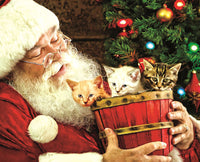 A Barrel of Fun, Larry Hersberger