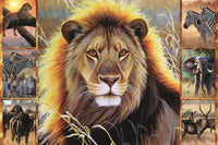 Beauté africaine, Cynthe Fisher