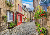 Une promenade parmi les fleurs (1500pcs)