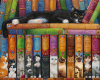Cat Bookshelf, Randal Spangler (1000pcs)