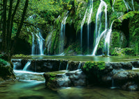 Magic Forests - Cascades  (1000pcs)