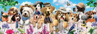 4 Dog Days (Panoramic)