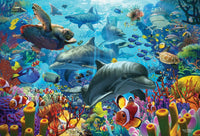 Coral Sea, David Penfound (2000pcs)