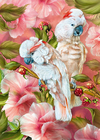 Spiritueux tropics-cockatoo (1000pcs)
