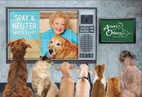 Micro-puzzle - acteurs et autres pour les animaux