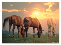 Chevaux au lever du soleil