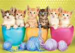 Adorables animaux - chatons en tasses