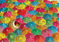 The Lime in the Coconut, Jo-Ann Richards