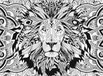 Lion - Puzzle de thérapie coloraire 3D (lunettes 3D incluses)