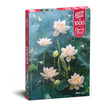Lotus blanc (1000pcs)