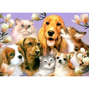 Ravensburger Garden Pals