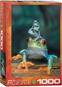 Grenouille d'arbre aux yeux rouges