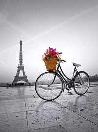 Promenade romantique à Paris