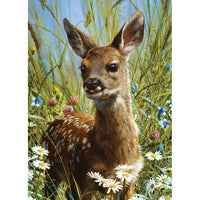 Spring Fawn, Carl Brenders
