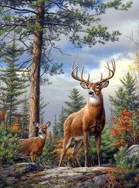 Standing Proud, Hautman Brothers